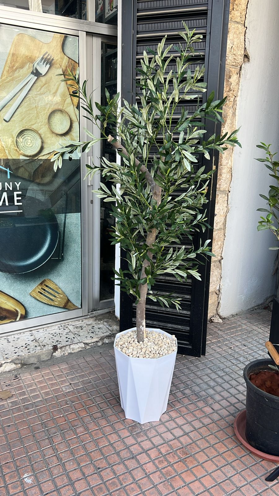 /storage/photos/1/Products/NEW/Artificial_plant_1.jpg