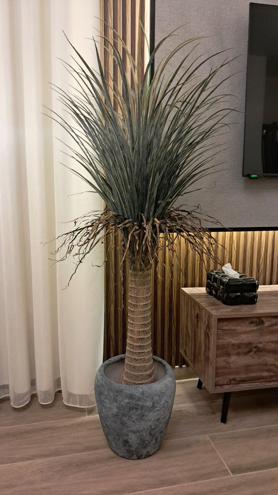 /storage/photos/1/Products/NEW/Artificial_plant_4.jpg