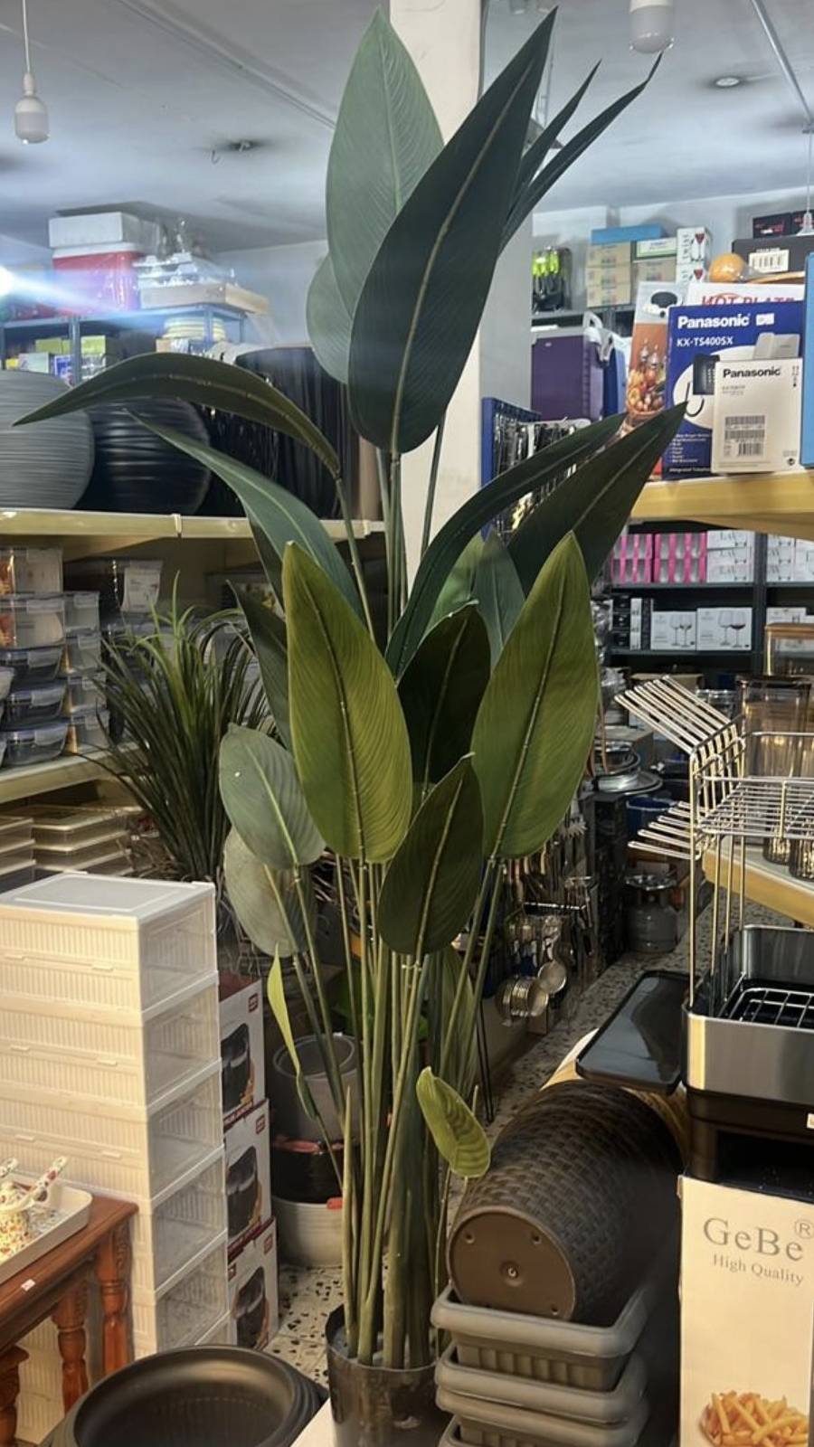 /storage/photos/1/Products/NEW/Artificial_plant_5.jpg