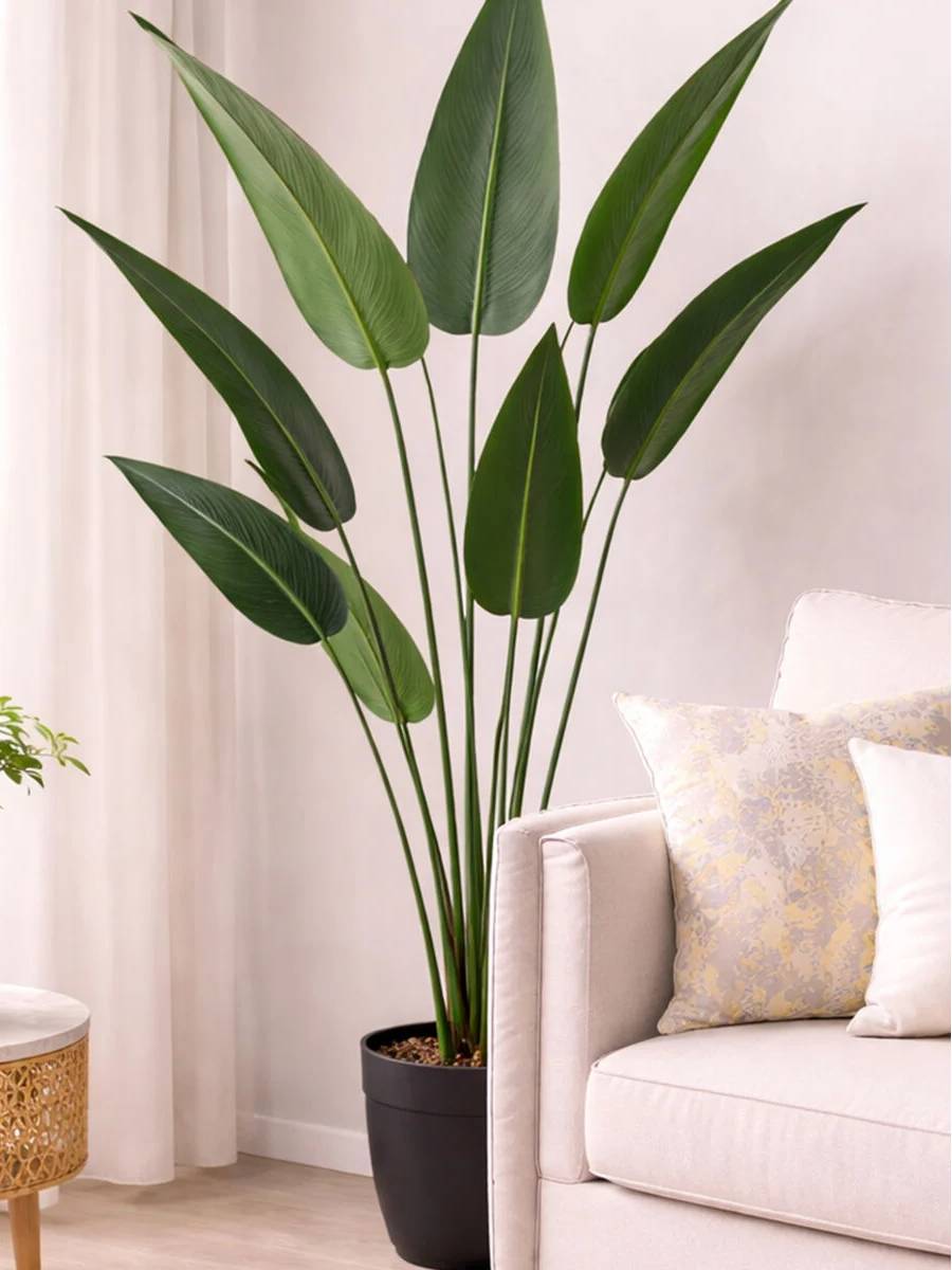 /storage/photos/1/Products/NEW/Artificial_plant_6.jpg
